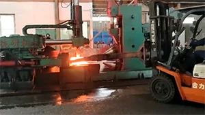 D53KS-1200 Ring Rolling Machine for a Company in Fujian